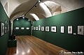 VBS_8023 - Mostra Carlo Carosso. Dioniso e Orfeo Poesia e colori del mito